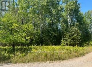 












25 I STREET

,
Cockburn Island,







Ontario
P0P1R0

