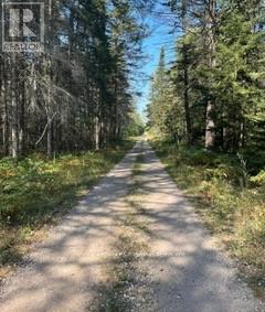 












25 I STREET

,
Cockburn Island,







Ontario
P0P1R0

