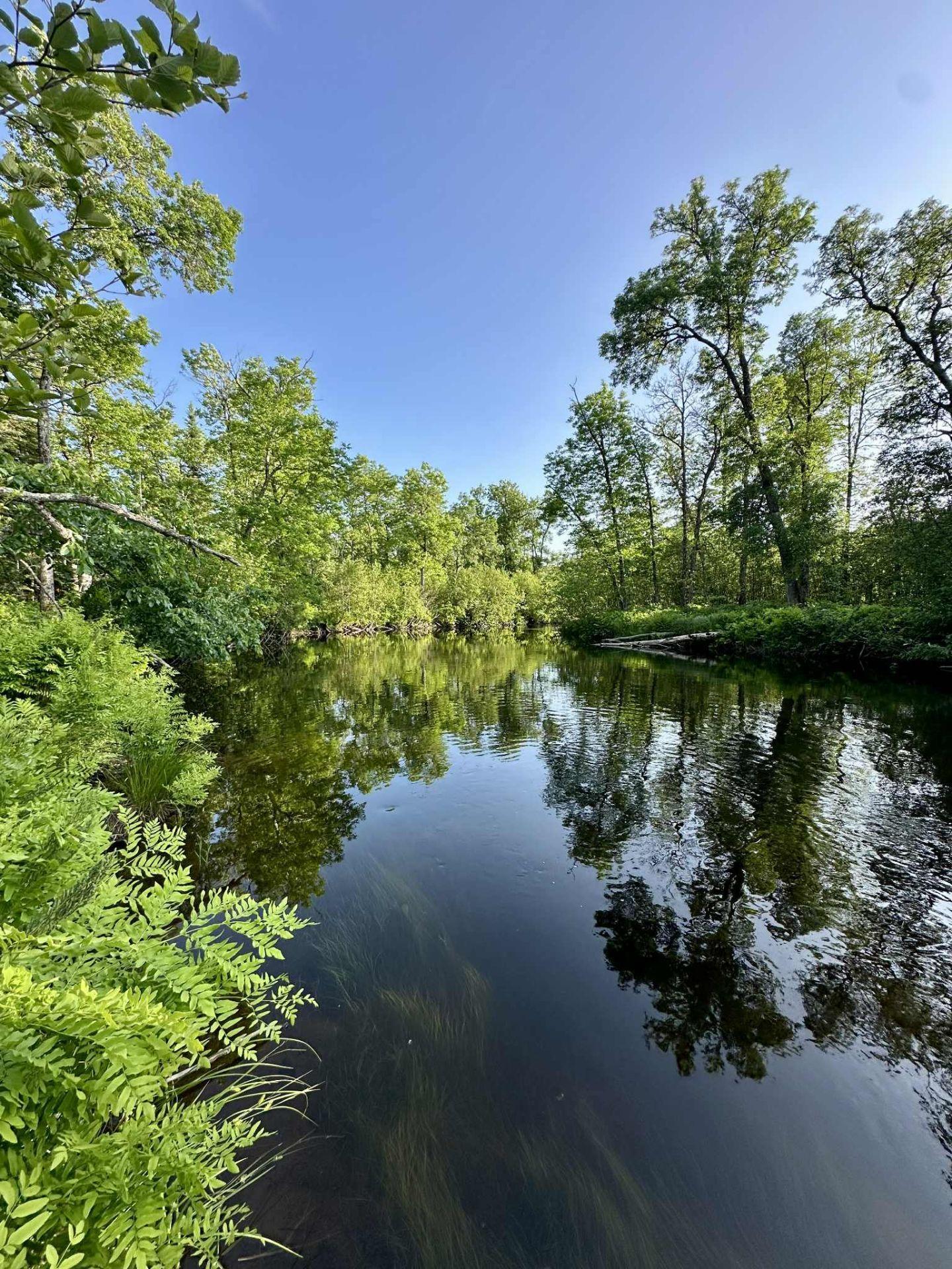 












Route 117 N.

,
Rivière-Rouge,







QC
J0T1T0

