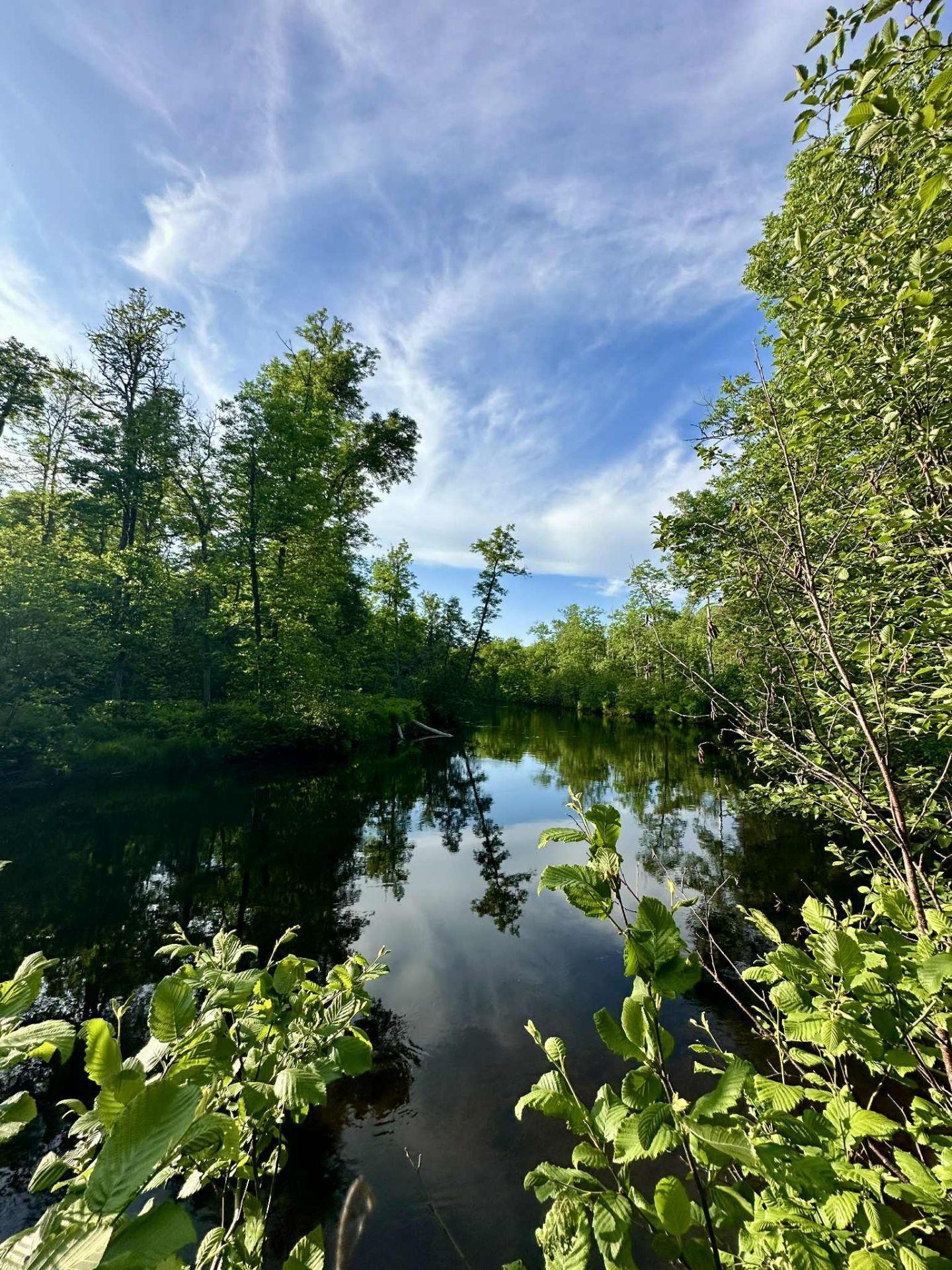 












Route 117 N.

,
Rivière-Rouge,







QC
J0T1T0

