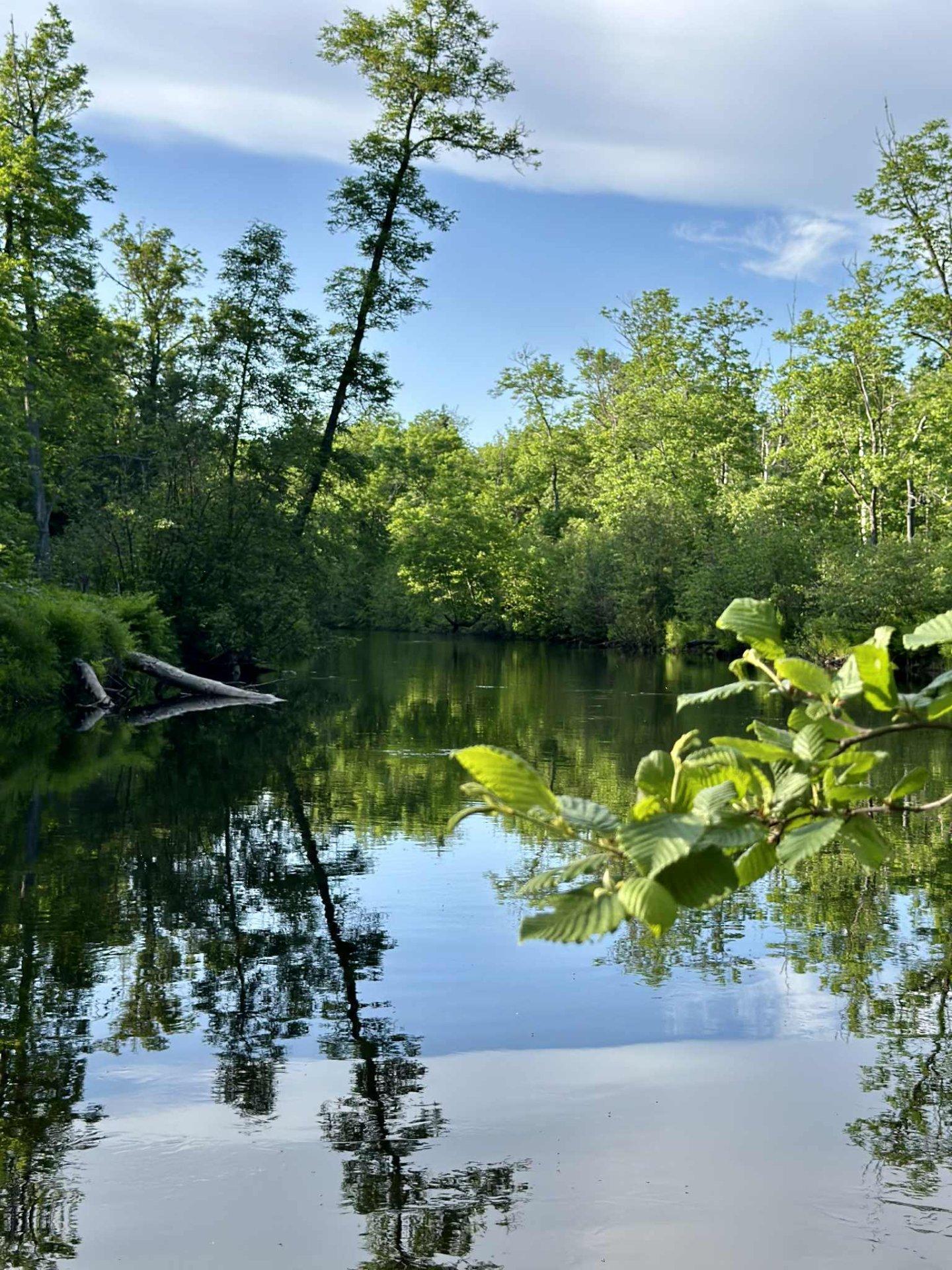 












Route 117 N.

,
Rivière-Rouge,







QC
J0T1T0

