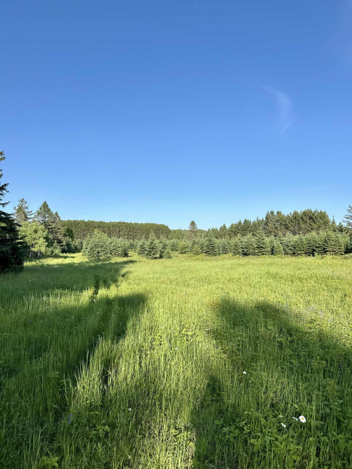 












Route 117 N.

,
Rivière-Rouge,







QC
J0T1T0


