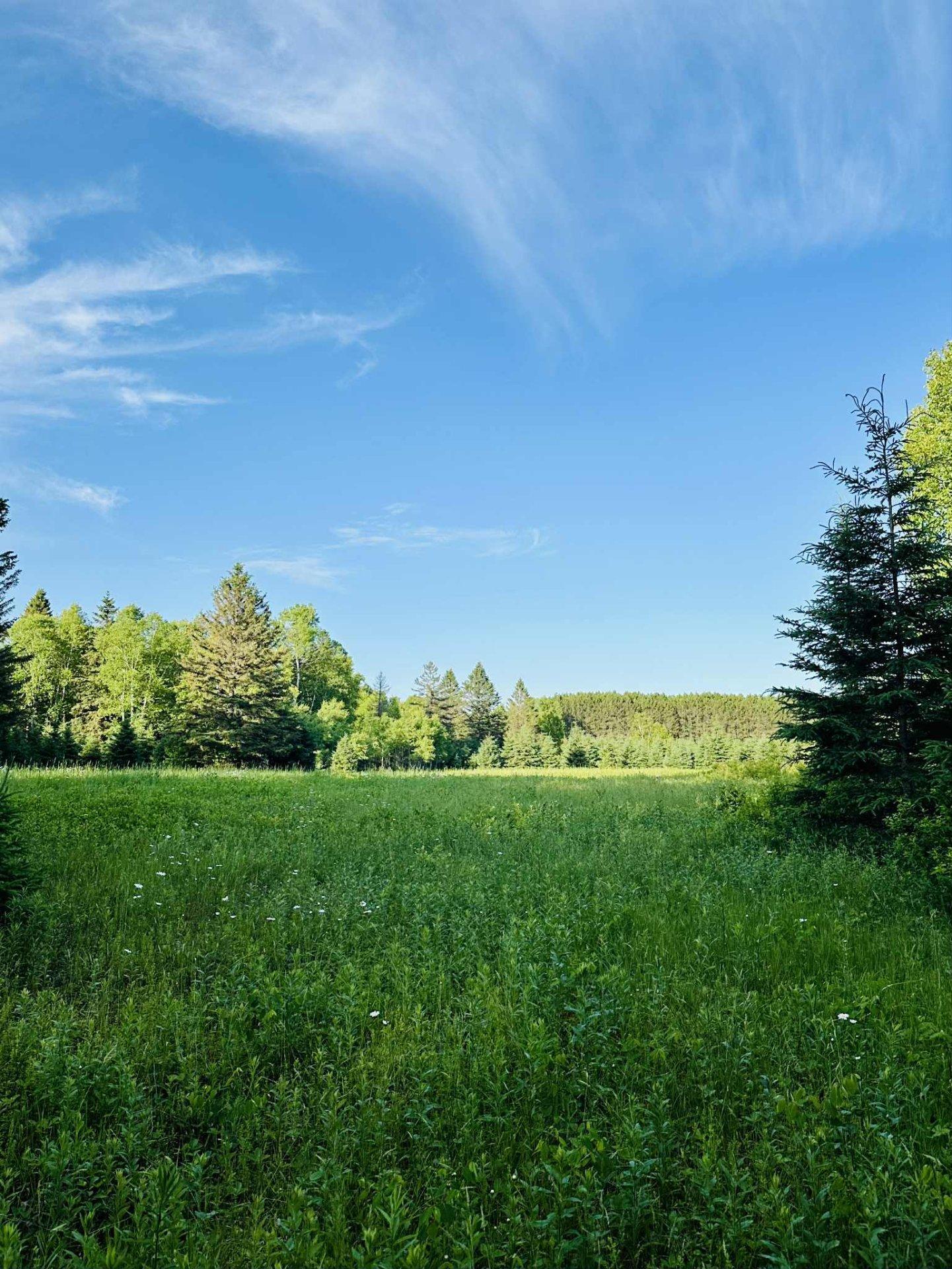 












Route 117 N.

,
Rivière-Rouge,







QC
J0T1T0

