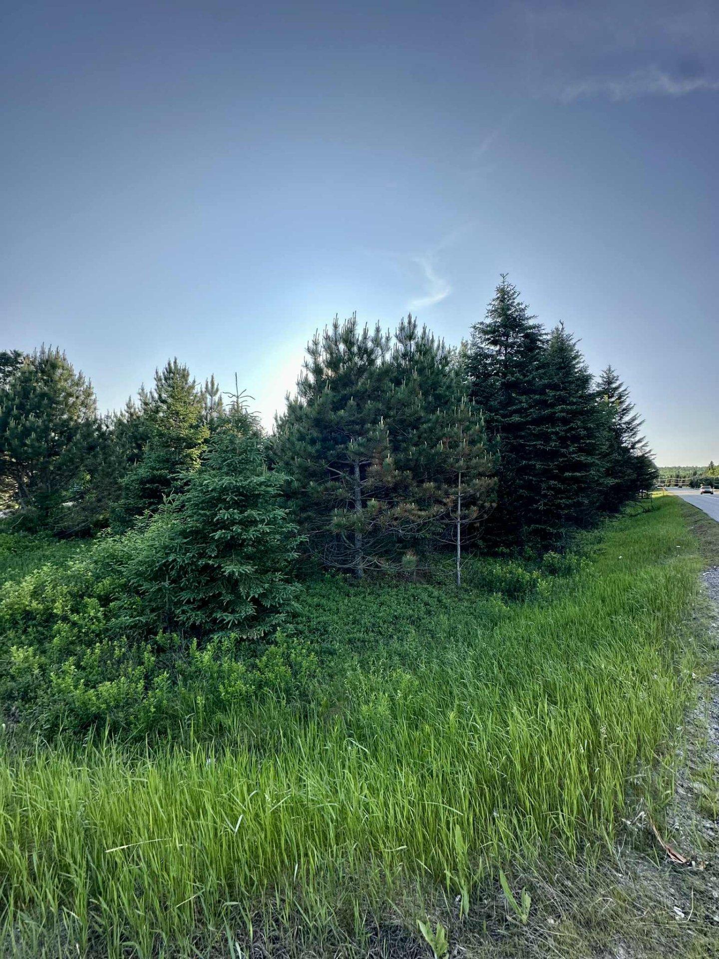 












Route 117 N.

,
Rivière-Rouge,







QC
J0T1T0


