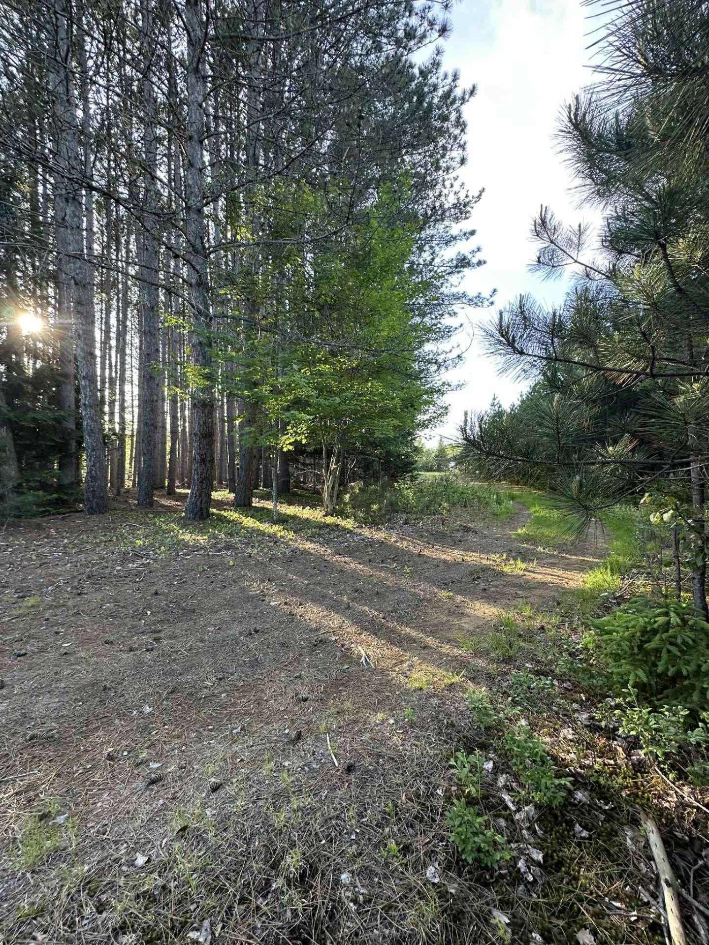 












Route 117 N.

,
Rivière-Rouge,







QC
J0T1T0

