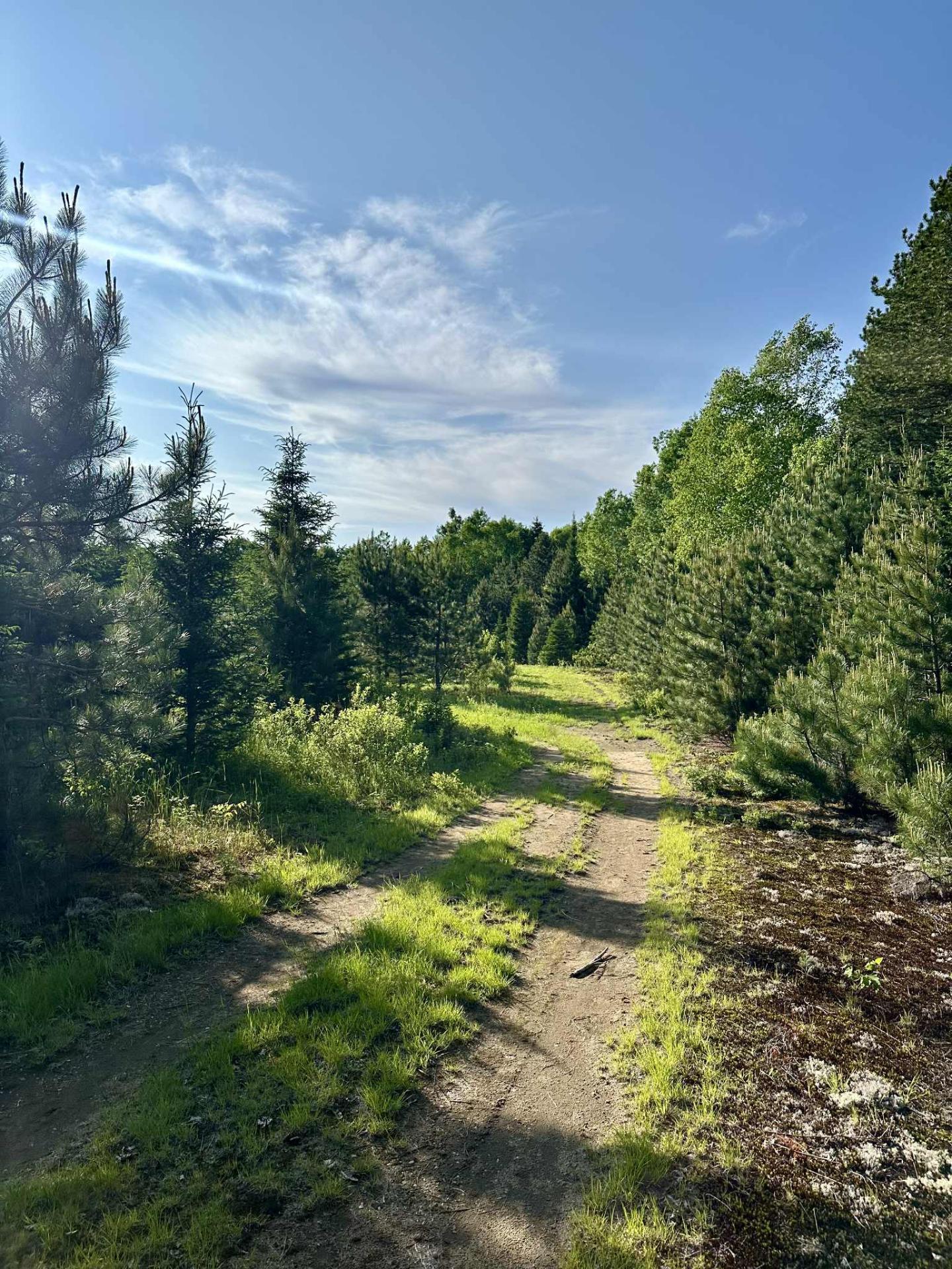 












Route 117 N.

,
Rivière-Rouge,







QC
J0T1T0

