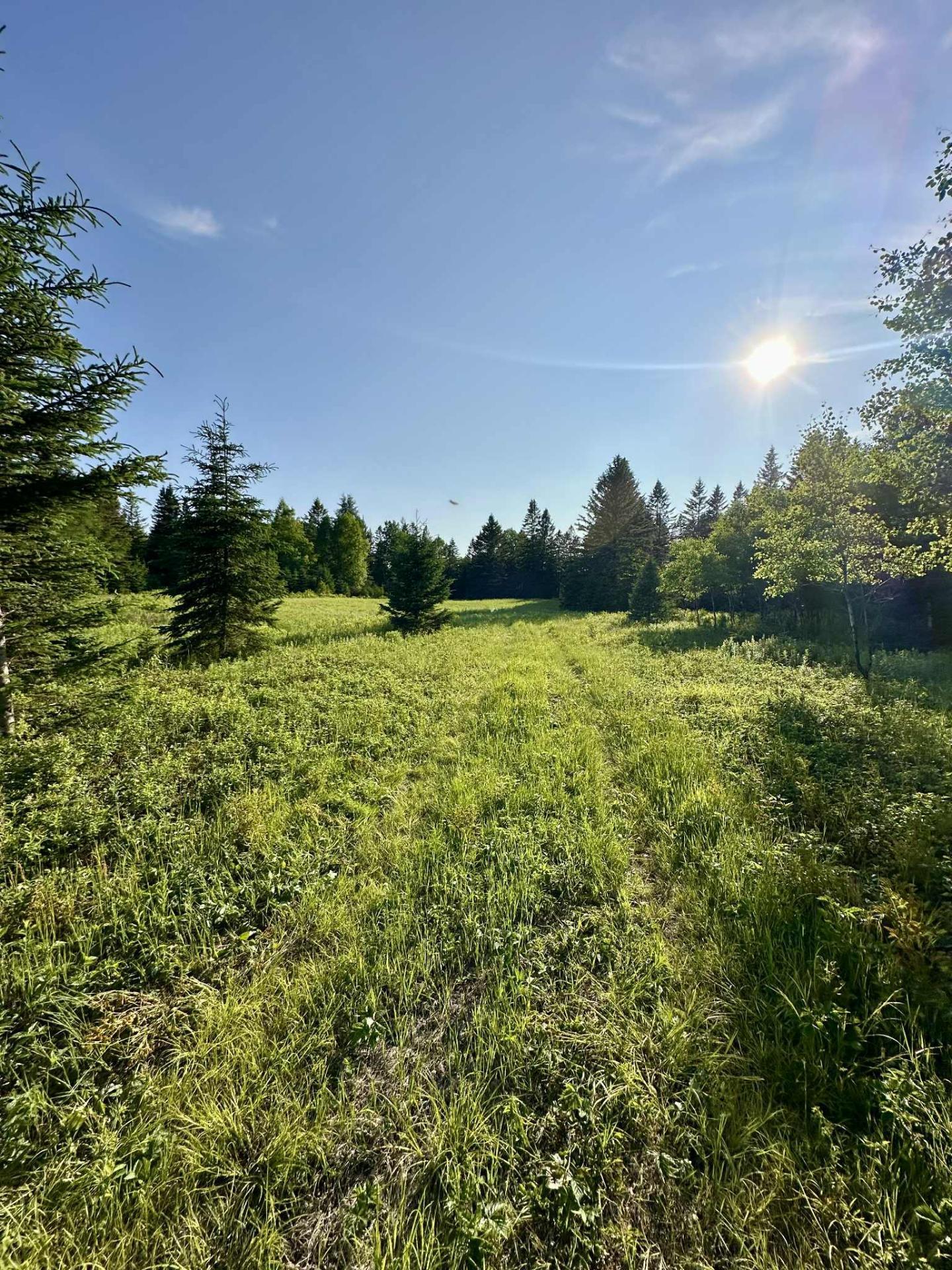 












Route 117 N.

,
Rivière-Rouge,







QC
J0T1T0

