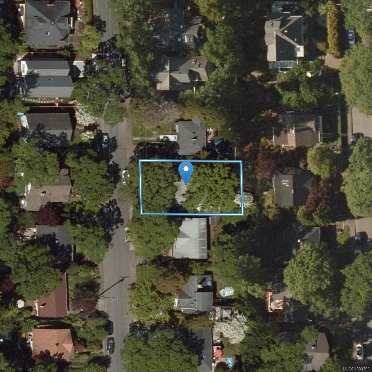









971


Wilmer

St,
Victoria,




BC
V8S 4B8

