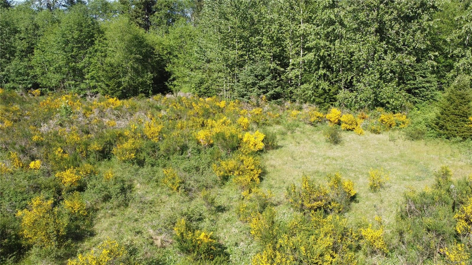 









691


Kelsey

Way,
Sayward,







BC
V0P 1R0

