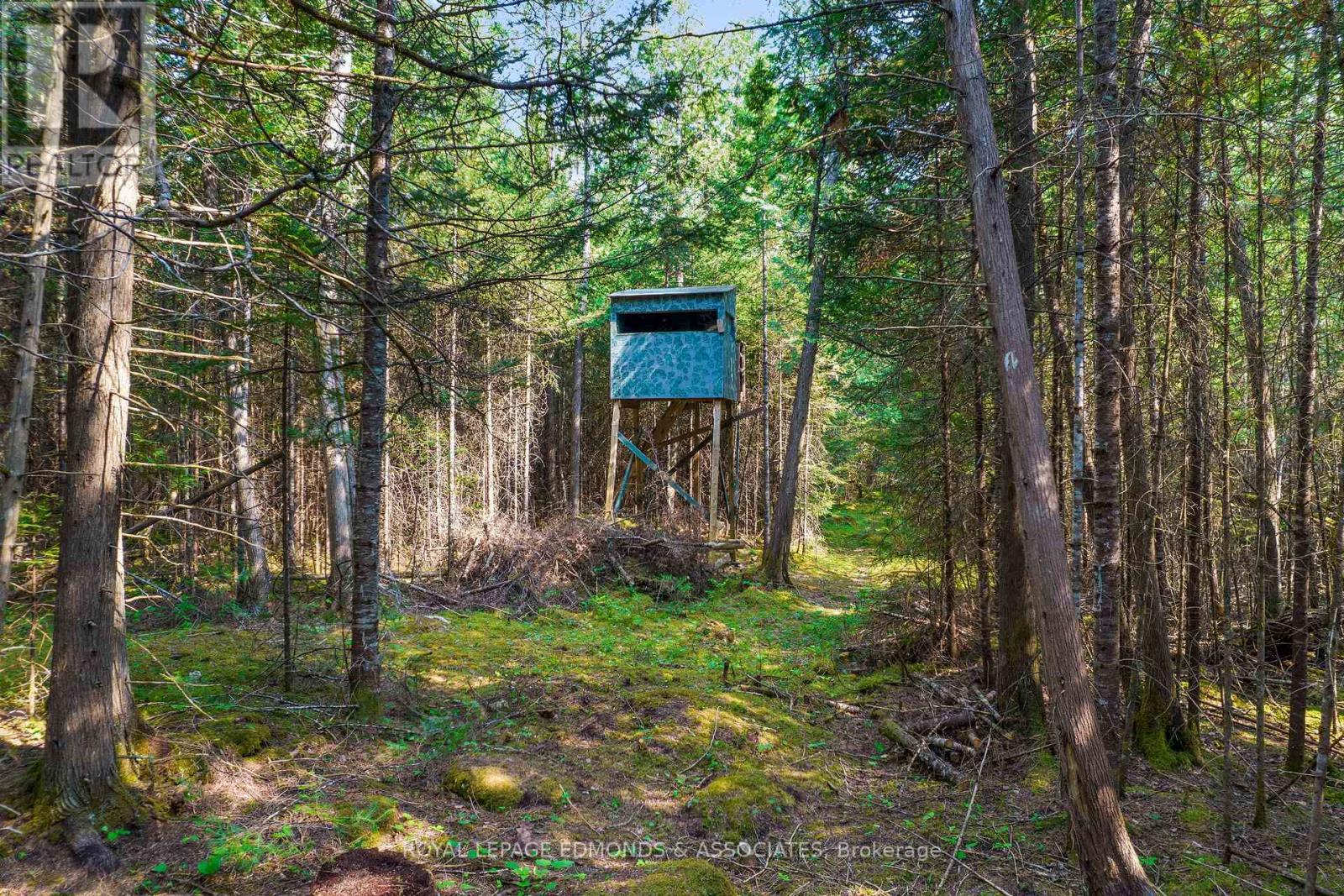 












1034 RAPID ROAD

,
Whitewater Region,







Ontario
K0J2L0

