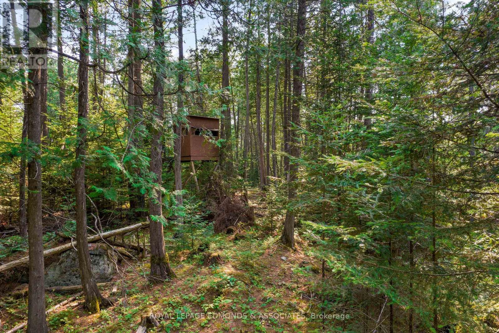 












1034 RAPID ROAD

,
Whitewater Region,







Ontario
K0J2L0

