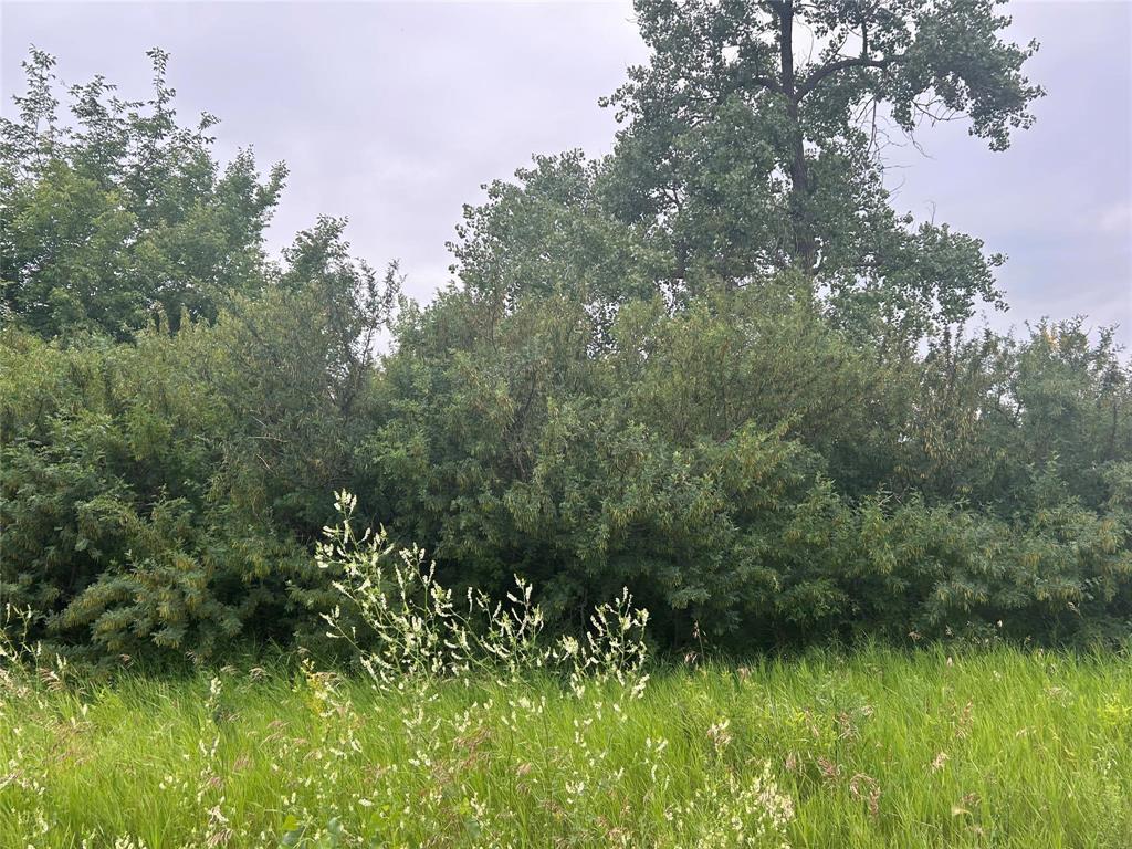 












,
RM of Elton,







Manitoba
R0K1C0

