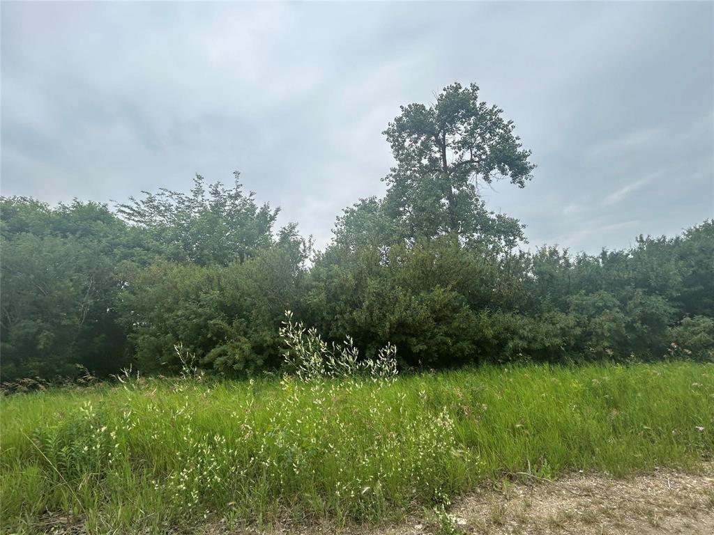 












,
RM of Elton,







Manitoba
R0K1C0

