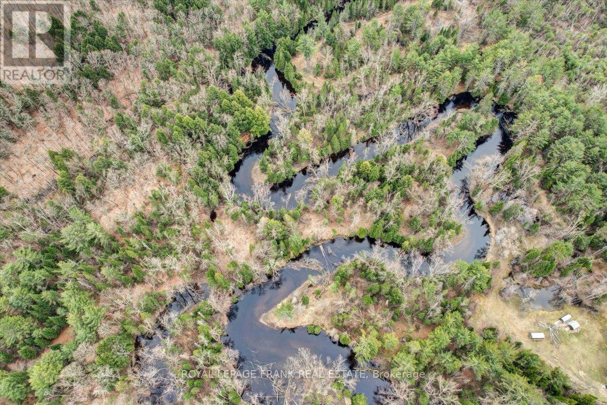 












173 LEAN DRIVE

,
North Kawartha,







Ontario
K0L1A0

