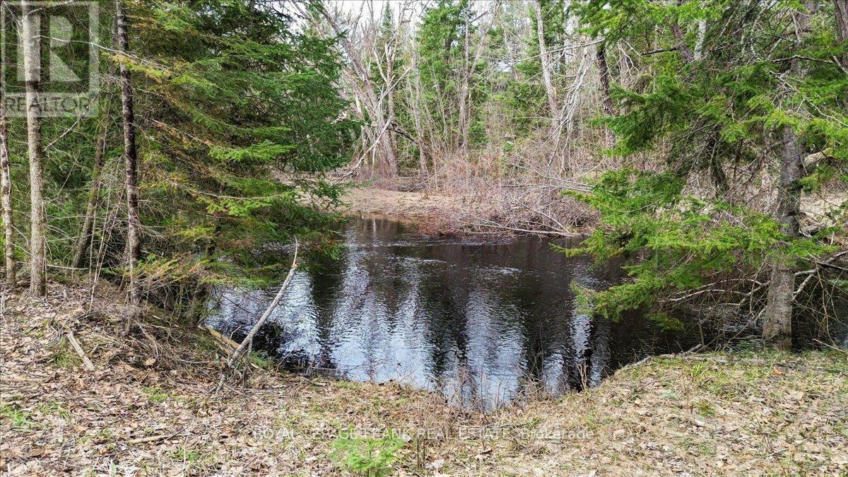 












173 LEAN DRIVE

,
North Kawartha,







Ontario
K0L1A0

