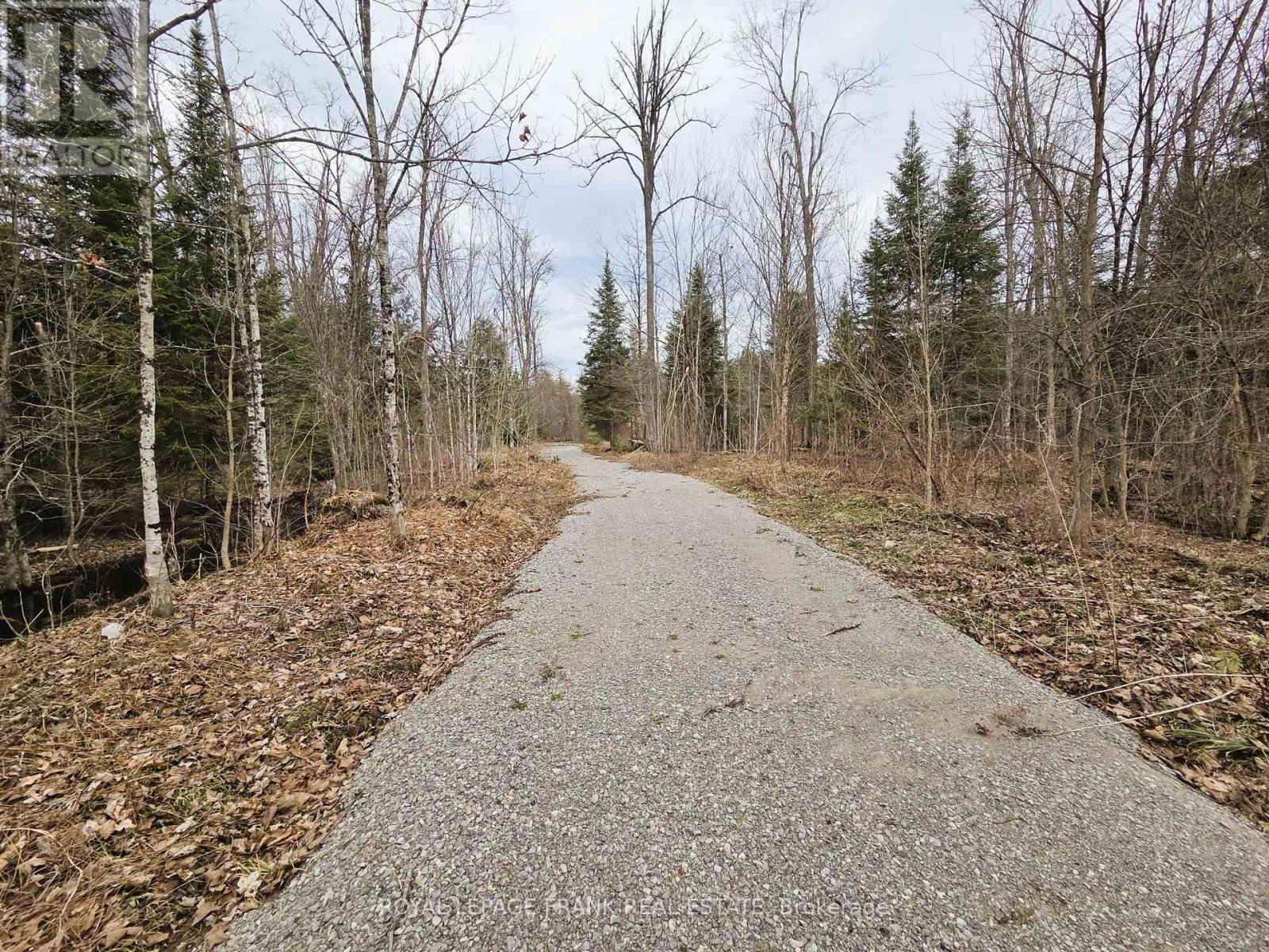 












173 LEAN DRIVE

,
North Kawartha,







Ontario
K0L1A0

