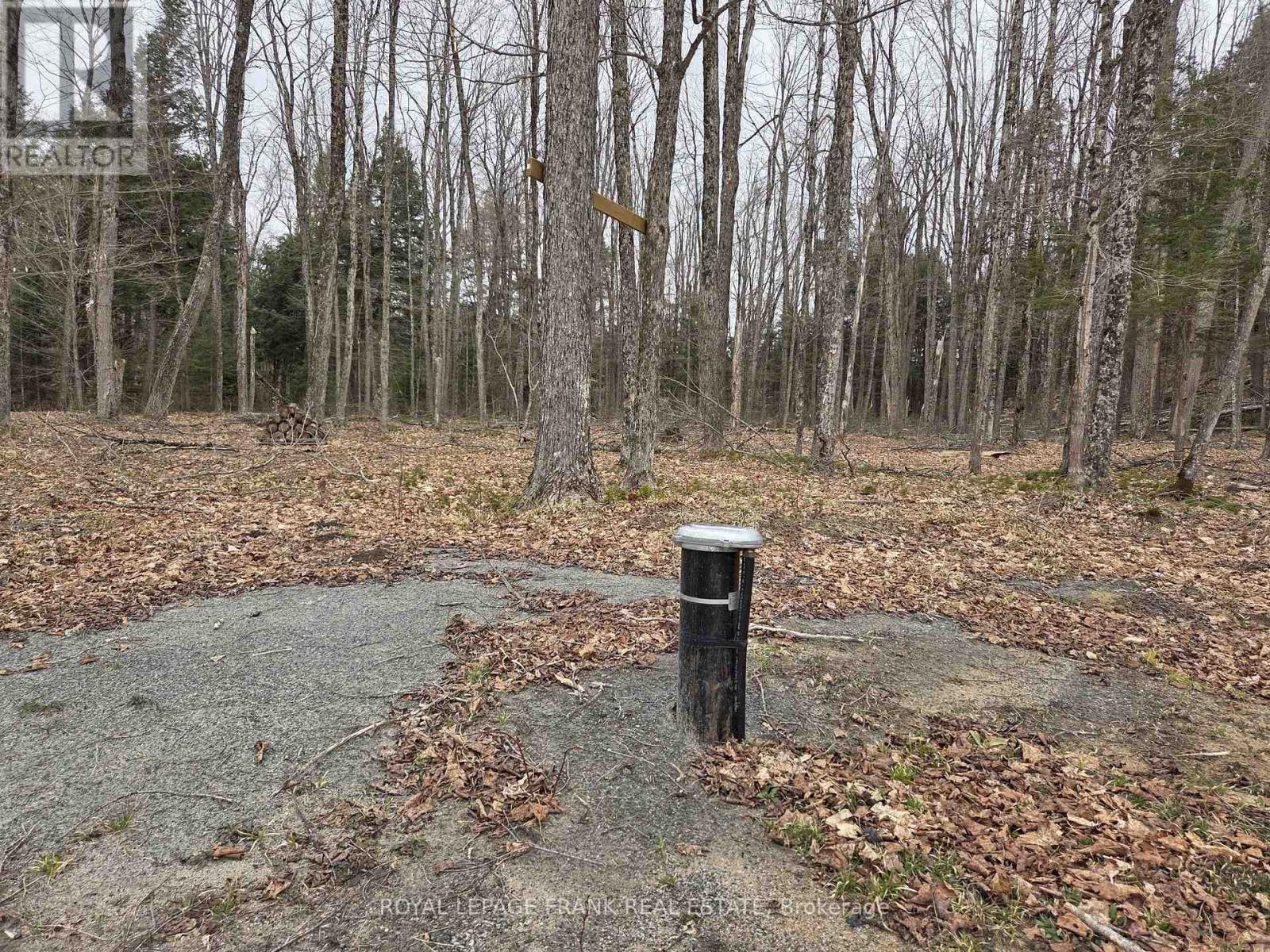 












173 LEAN DRIVE

,
North Kawartha,







Ontario
K0L1A0

