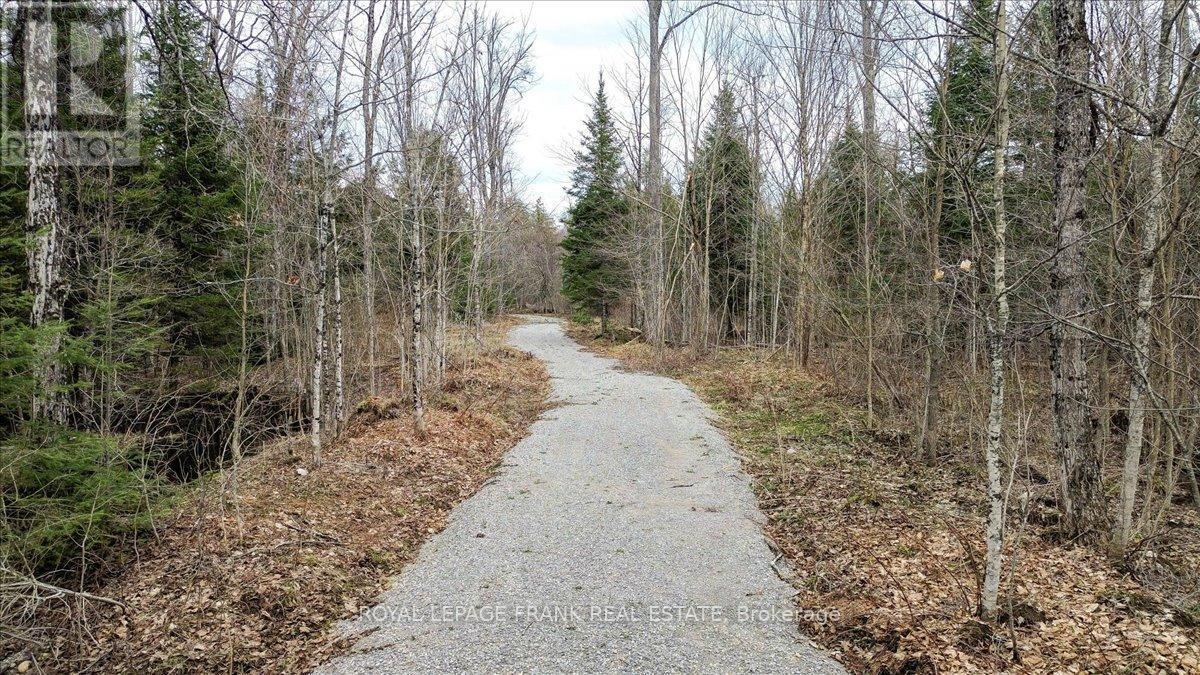 












173 LEAN DRIVE

,
North Kawartha,







Ontario
K0L1A0

