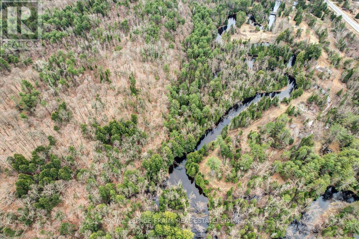 












173 LEAN DRIVE

,
North Kawartha,







Ontario
K0L1A0

