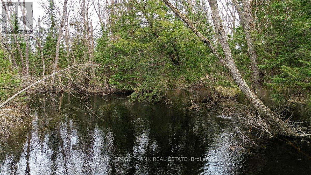 












173 LEAN DRIVE

,
North Kawartha,







Ontario
K0L1A0

