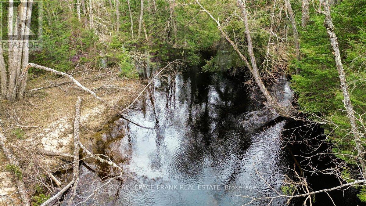 












173 LEAN DRIVE

,
North Kawartha,







Ontario
K0L1A0

