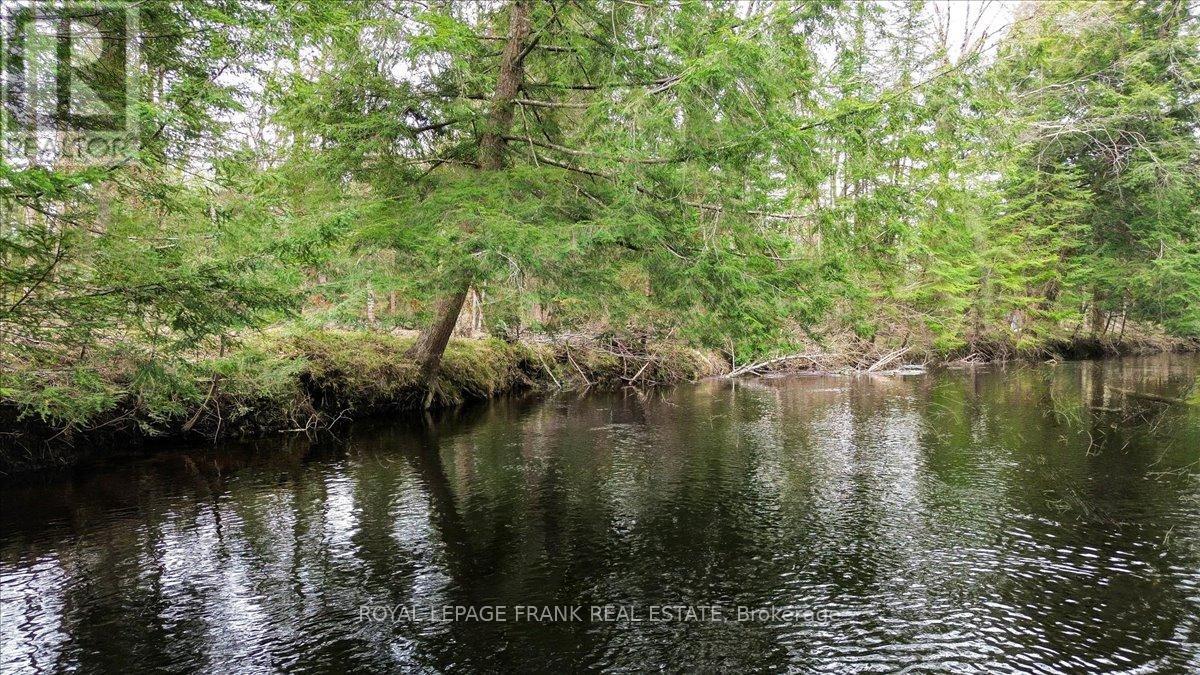 












173 LEAN DRIVE

,
North Kawartha,







Ontario
K0L1A0

