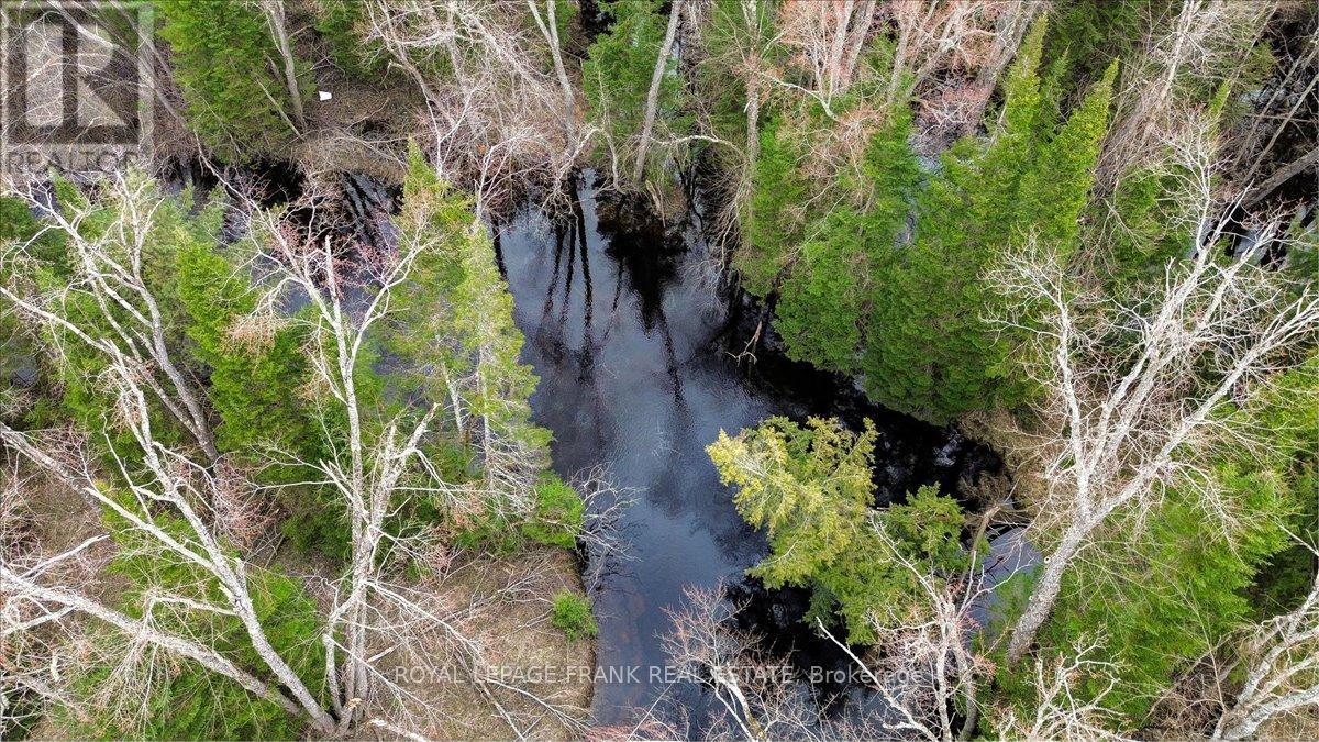 












173 LEAN DRIVE

,
North Kawartha,







Ontario
K0L1A0

