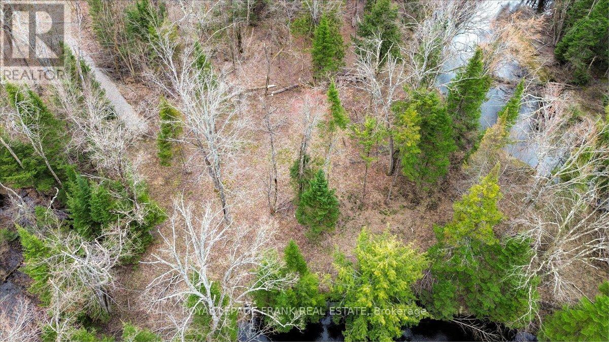 












173 LEAN DRIVE

,
North Kawartha,







Ontario
K0L1A0

