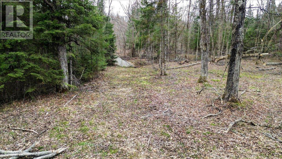 












173 LEAN DRIVE

,
North Kawartha,







Ontario
K0L1A0

