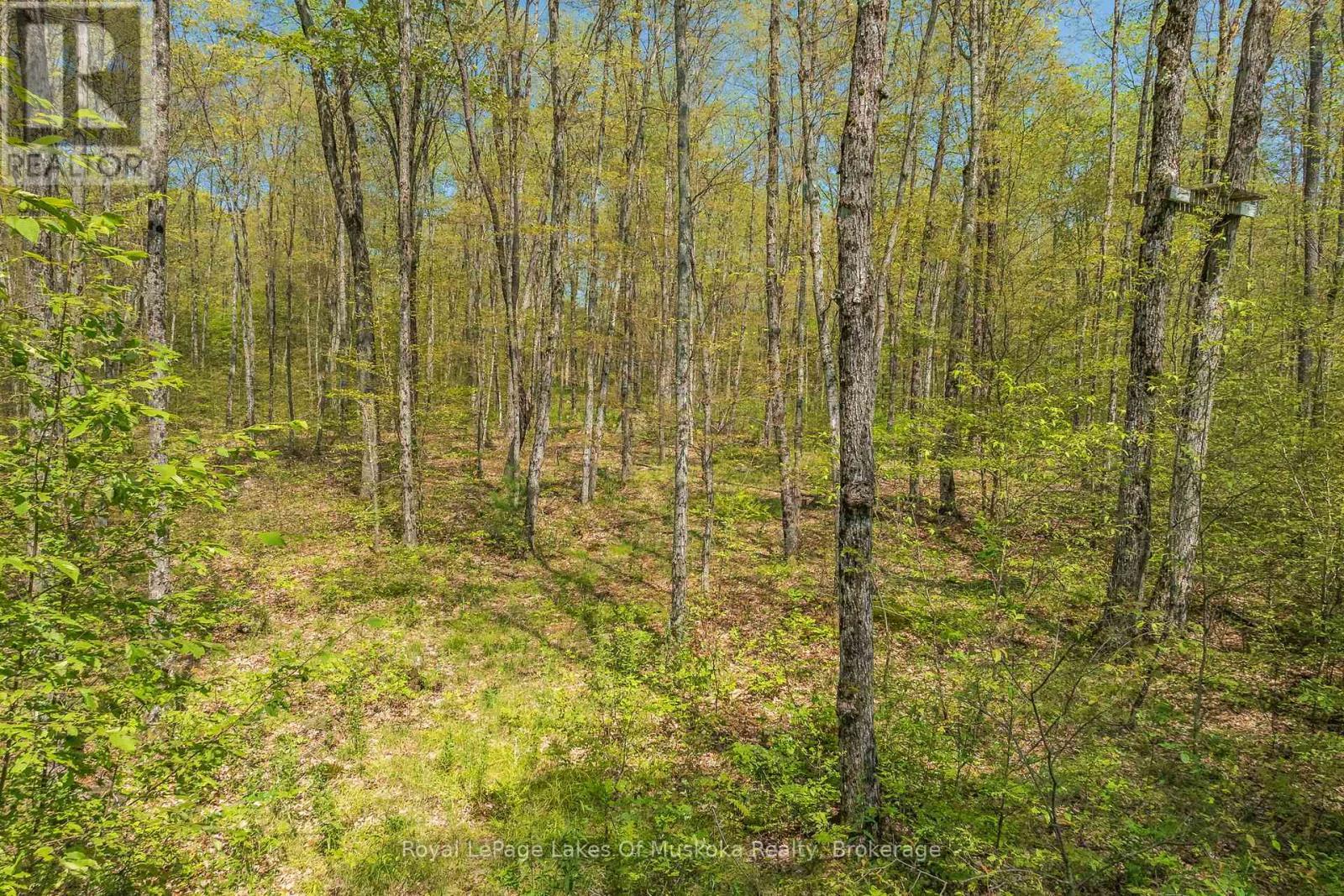 












1101 STARRATT ROAD

,
Ryerson,




Ontario
P0A1C0

