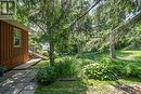 Lush, park like back yard