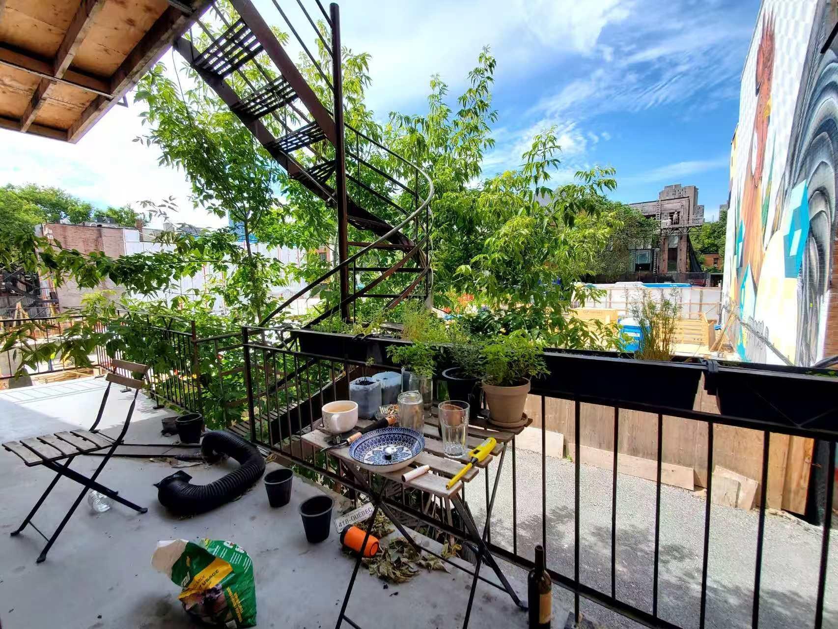 









3554


Rue St-Dominique

,
Montréal (Le Plateau-Mont-Royal),




QC
H2X2X4

