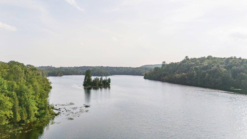 









1144


Ch. des Suisses

,
Boileau,




QC
J0V1N0

