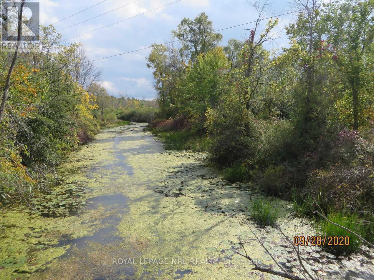 












LOT 2 - 3779 NIAGARA PARKWAY

,
Fort Erie (Black Creek),







Ontario
L2A5M4

