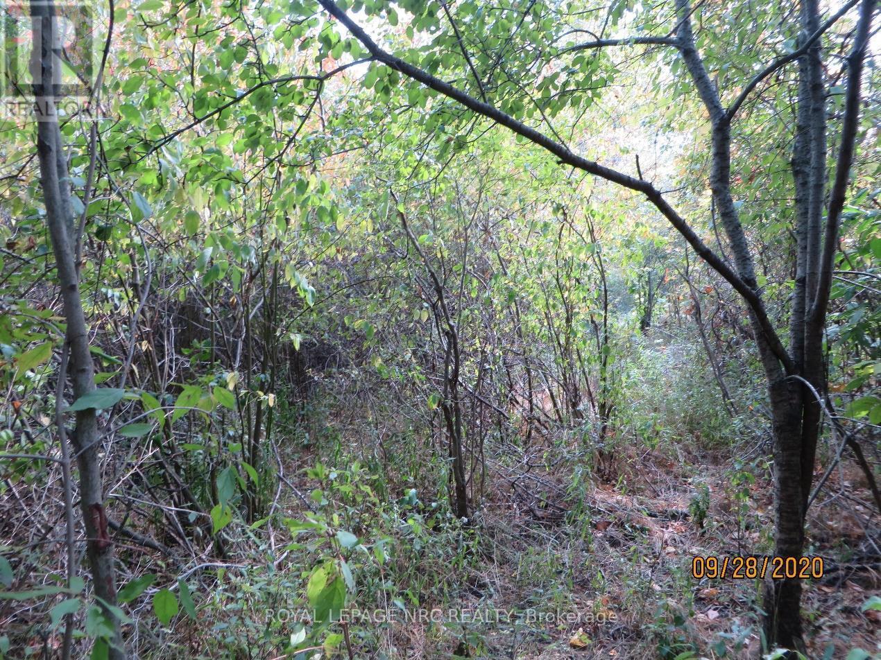 












LOT 2 - 3779 NIAGARA PARKWAY

,
Fort Erie (Black Creek),







Ontario
L2A5M4

