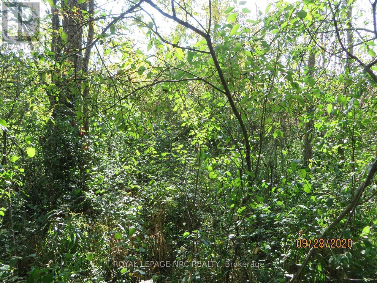 












LOT 2 - 3779 NIAGARA PARKWAY

,
Fort Erie (Black Creek),







Ontario
L2A5M4

