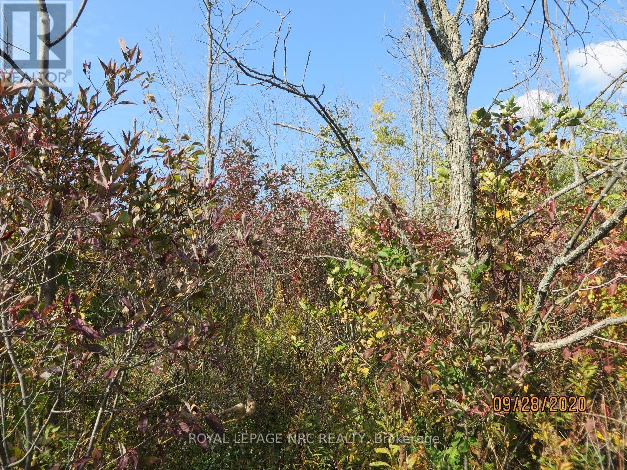 












LOT 2 - 3779 NIAGARA PARKWAY

,
Fort Erie (Black Creek),







Ontario
L2A5M4

