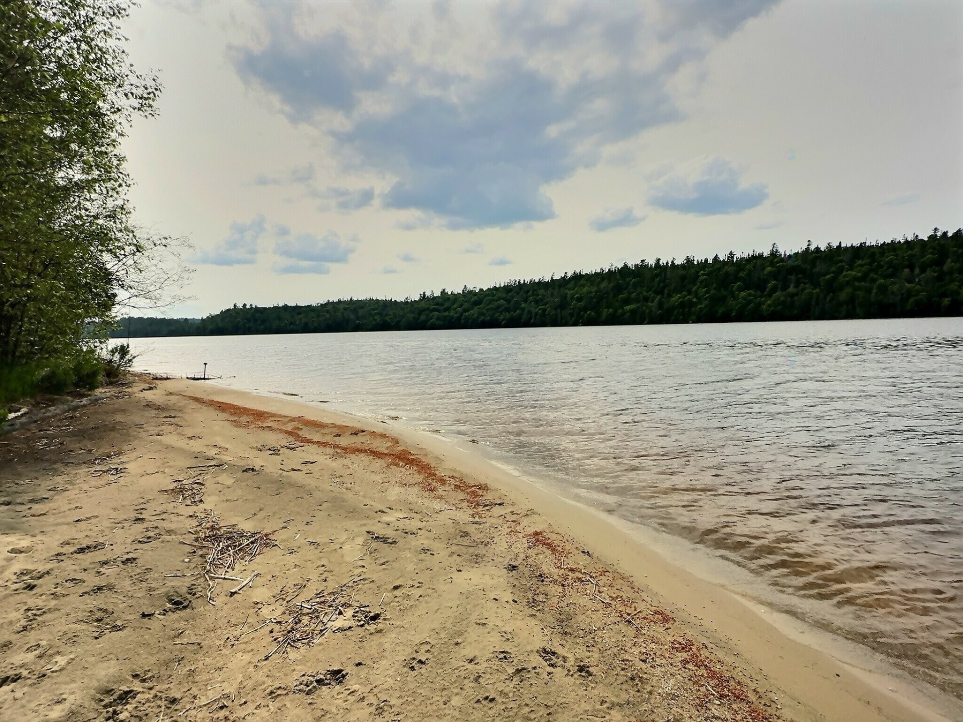 









2225


Ch. de Grassy Narrow

,
Moffet,




QC
J0Z2W0

