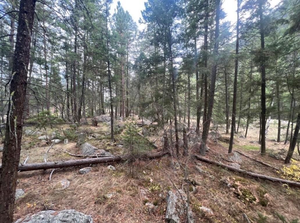 









2267


OLD HEDLEY

Road,
Princeton,







BC
V0X 1W0

