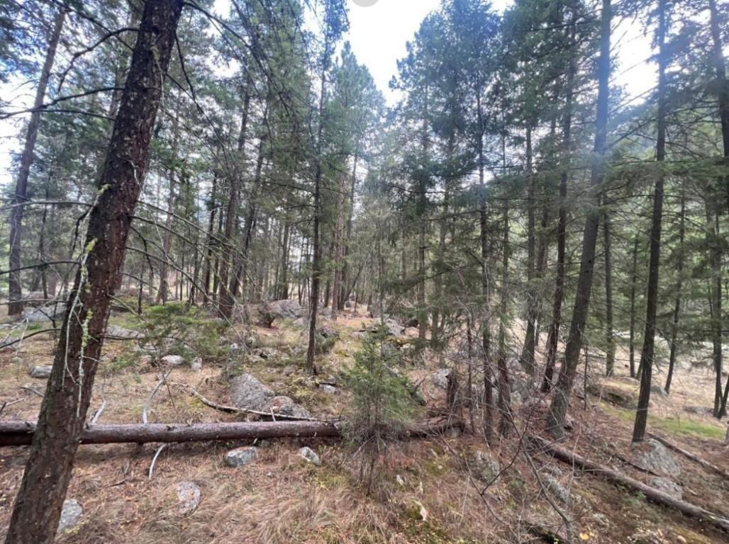 









2267


OLD HEDLEY

Road,
Princeton,







BC
V0X 1W0

