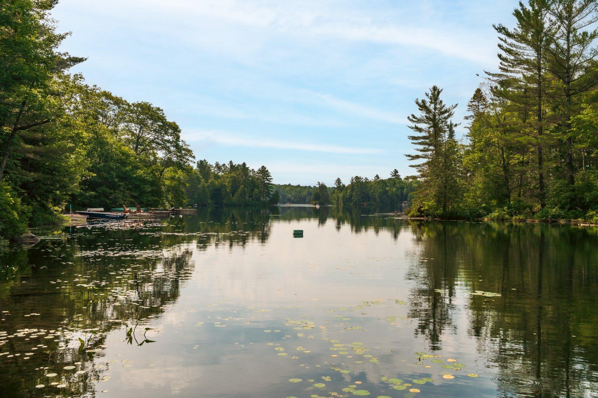 









502


Ch. du Chêne-Rouge

,
Val-des-Monts,




QC
J8N6G1

