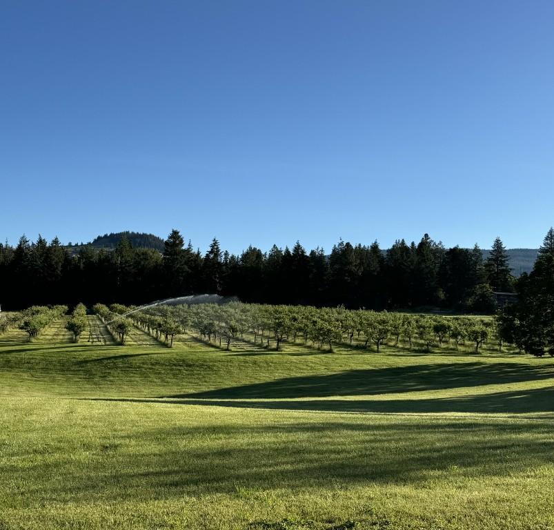 









5393


East Vernon

Road,
Vernon,







BC
V1B 3J7

