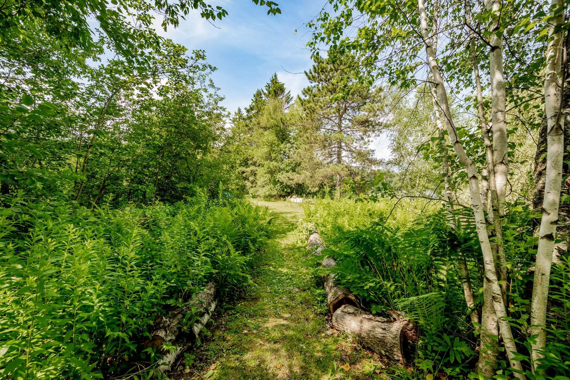 









440Z


Rue Conrad-Blanchet

,
Sherbrooke (Brompton/Rock Forest/Saint-Élie/Deauville),







QC
J1N3P4

