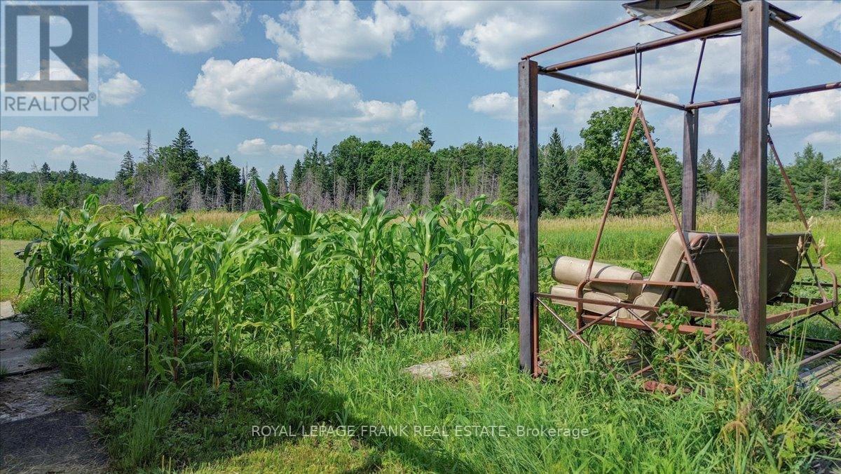 












99 ANSTRUTHER LAKE ROAD

,
North Kawartha,




Ontario
K0L1A0

