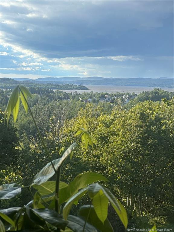 









32


Vale Crest

DR,
Saint John,




NB
E2M 4B7

