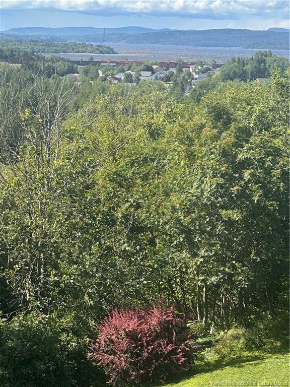 









32


Vale Crest

DR,
Saint John,




NB
E2M 4B7

