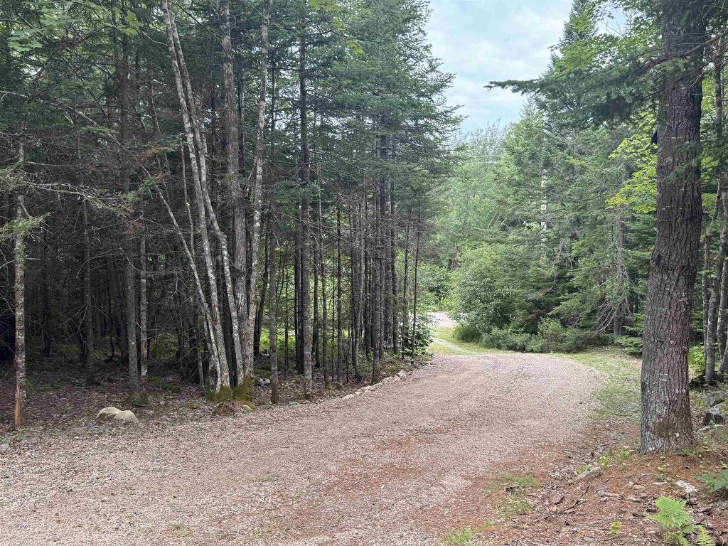 












126 Middle Lake South Road

,
Vaughan,







NS
B0N 2T0

