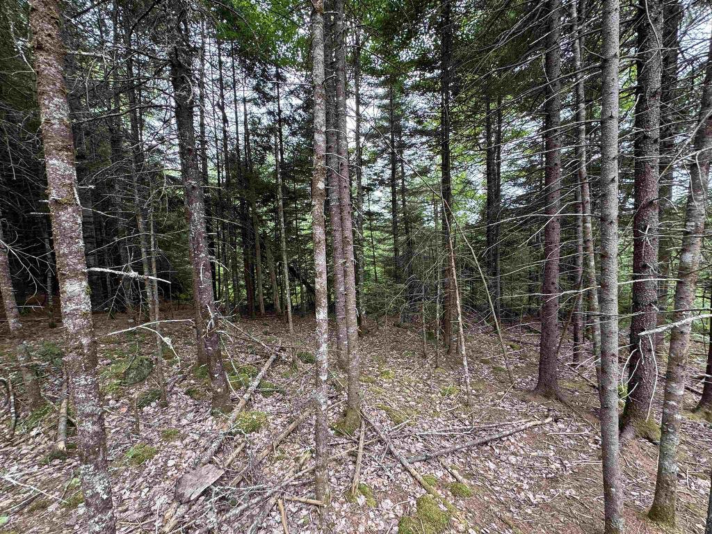 












126 Middle Lake South Road

,
Vaughan,







NS
B0N 2T0

