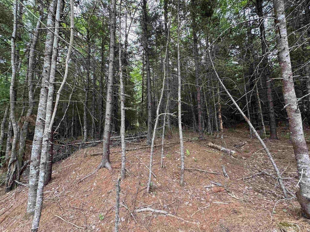 












126 Middle Lake South Road

,
Vaughan,







NS
B0N 2T0


