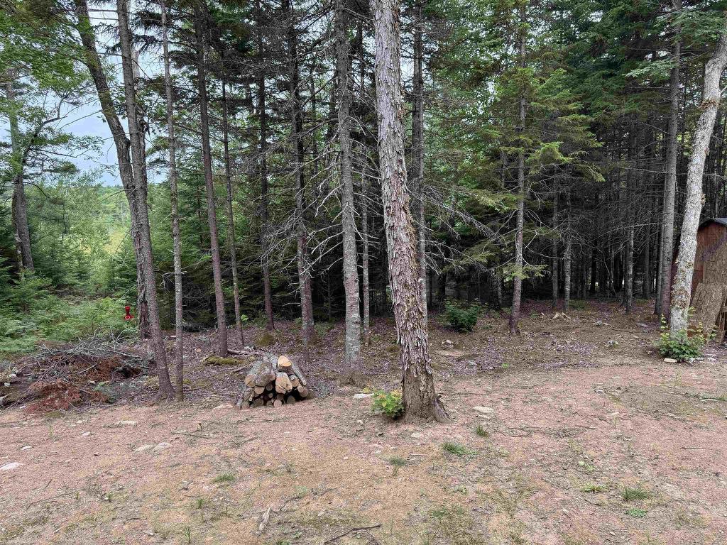 












126 Middle Lake South Road

,
Vaughan,







NS
B0N 2T0

